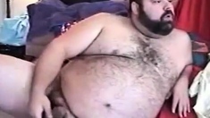 Hairy Chubby Bear Jo1