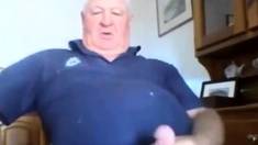 Abuelos turtle