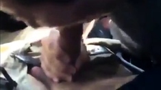 Car blow job.