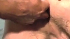 Turkish amateur bears