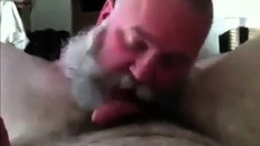 Bearded Dad Sucking Really Good