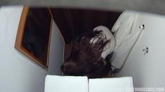 Amateur Hidden Cam with Dildo Wives