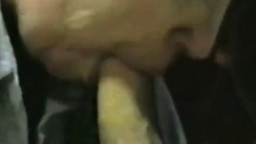 Creamy Oral Delight