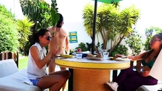 Brunette Flashing Her Titties And Pussy Outdoors In Public