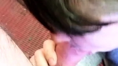 Sugahora