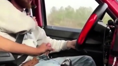 Good Passenger